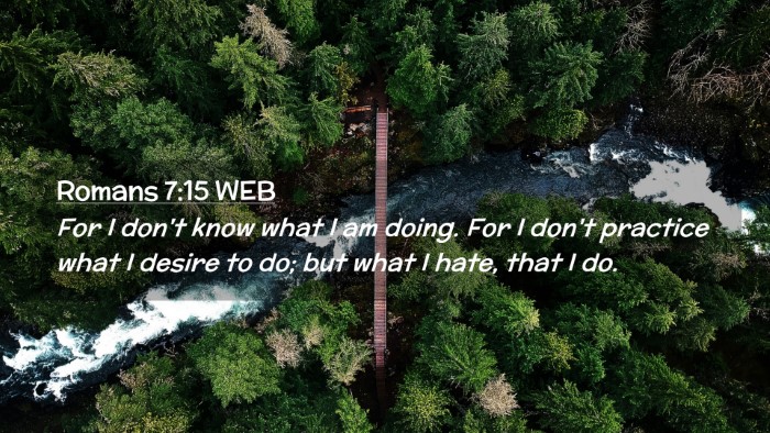 Picture 02 - Romans 7:15 WEB Desktop Wallpaper - For I don't know what I am doing. For I don't - Desktop Bible Verse Wallpaper
