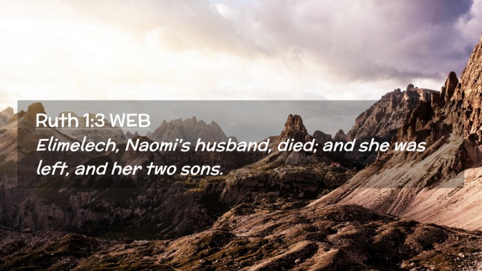 Picture 02 - Ruth 1:3 WEB Desktop Wallpaper - Elimelech, Naomi's husband, died; and she was - Desktop Bible Verse Wallpaper