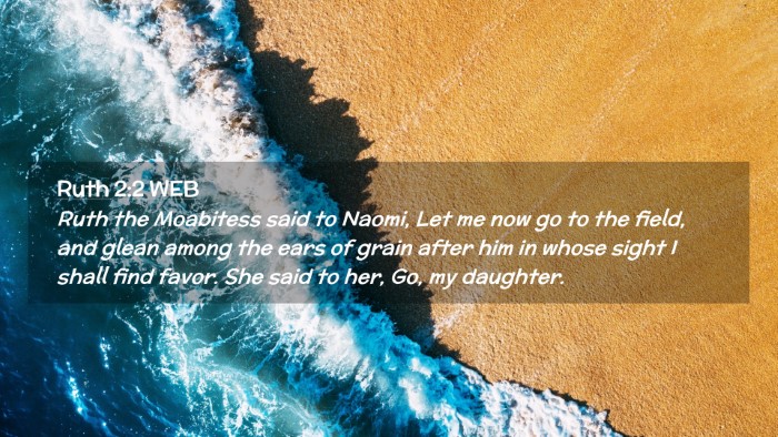 Picture 02 - Ruth 2:2 WEB Desktop Wallpaper - Ruth the Moabitess said to Naomi, Let me now go - Desktop Bible Verse Wallpaper