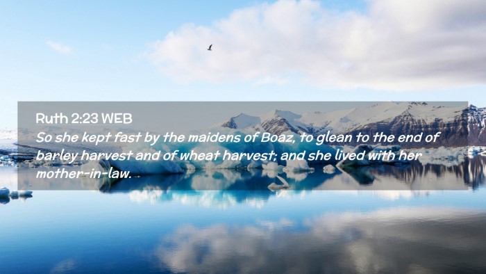 Picture 02 - Ruth 2:23 WEB Desktop Wallpaper - So she kept fast by the maidens of Boaz, to glean - Desktop Bible Verse Wallpaper
