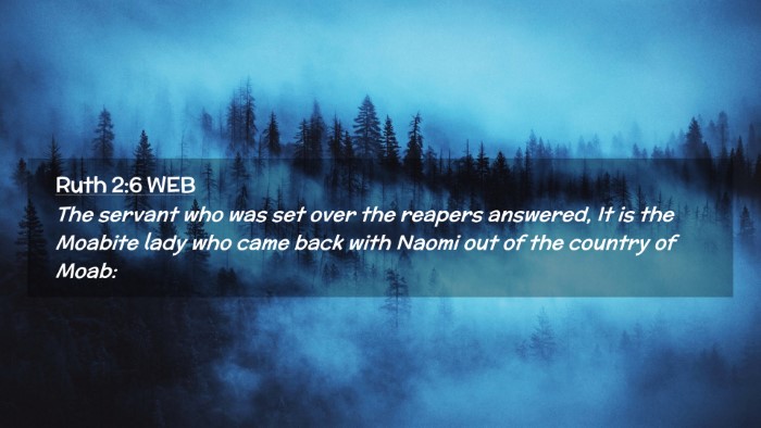 Picture 02 - Ruth 2:6 WEB Desktop Wallpaper - The servant who was set over the reapers - Desktop Bible Verse Wallpaper