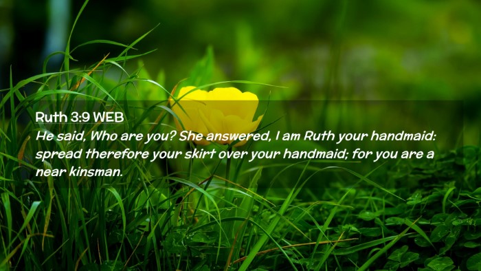 Picture 02 - Ruth 3:9 WEB Desktop Wallpaper - He said, Who are you? She answered, I am Ruth - Desktop Bible Verse Wallpaper
