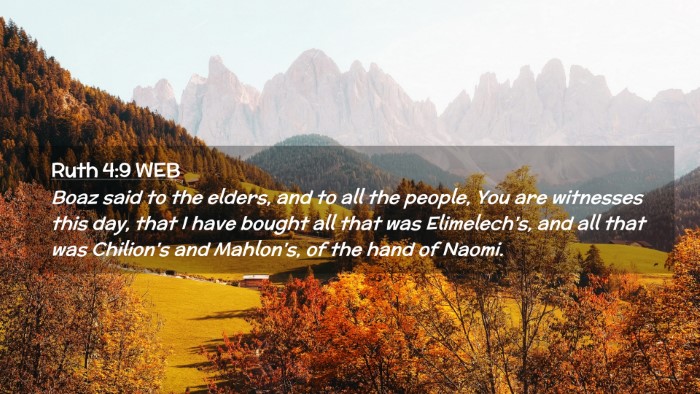 Picture 02 - Ruth 4:9 WEB Desktop Wallpaper - Boaz said to the elders, and to all the people, - Desktop Bible Verse Wallpaper