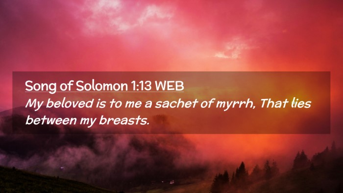 Picture 02 - Song of Solomon 1:13 WEB Desktop Wallpaper - My beloved is to me a sachet of myrrh, That lies - Desktop Bible Verse Wallpaper