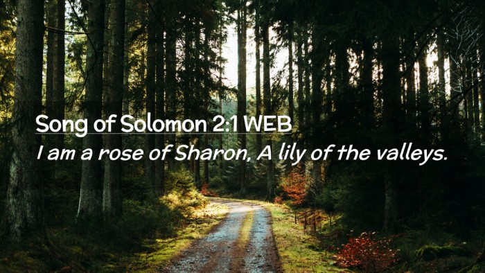 Picture 02 - Song of Solomon 2:1 WEB Desktop Wallpaper - I am a rose of Sharon, A lily of the - Desktop Bible Verse Wallpaper