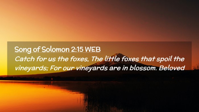 Picture 02 - Song of Solomon 2:15 WEB Desktop Wallpaper - Catch for us the foxes, The little foxes that - Desktop Bible Verse Wallpaper
