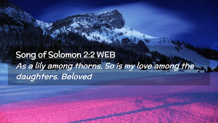 Picture 02 - Song of Solomon 2:2 WEB Desktop Wallpaper - As a lily among thorns, So is my love among the - Desktop Bible Verse Wallpaper