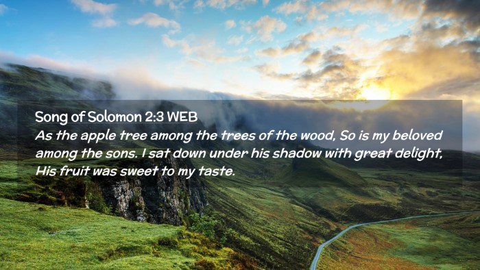 Picture 02 - Song of Solomon 2:3 WEB Desktop Wallpaper - As the apple tree among the trees of the wood, So - Desktop Bible Verse Wallpaper