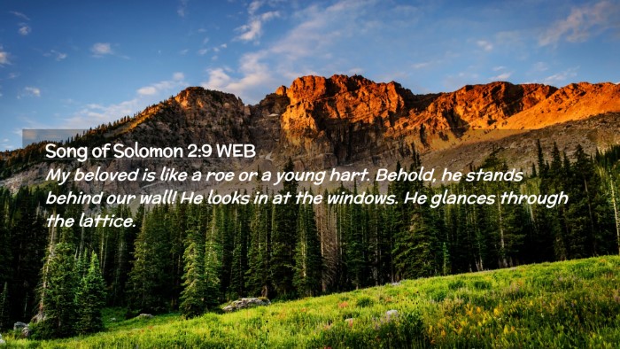 Picture 02 - Song of Solomon 2:9 WEB Desktop Wallpaper - My beloved is like a roe or a young hart. Behold, - Desktop Bible Verse Wallpaper