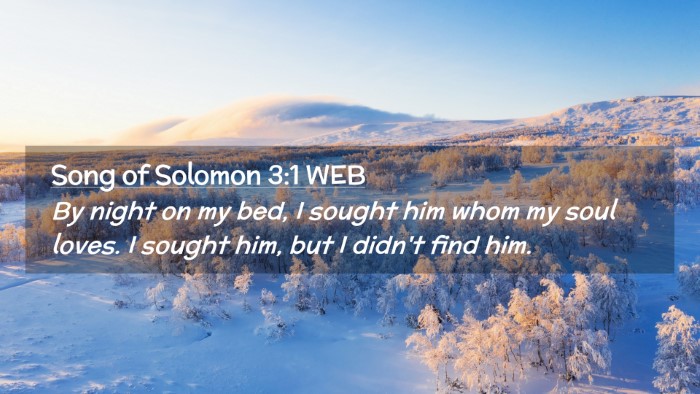 Picture 02 - Song of Solomon 3:1 WEB Desktop Wallpaper - By night on my bed, I sought him whom my soul - Desktop Bible Verse Wallpaper