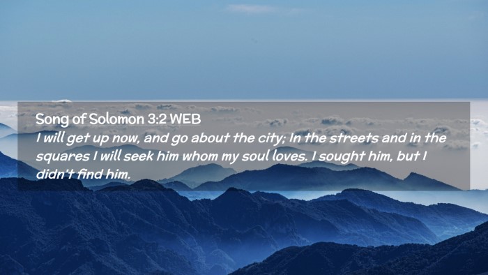 Picture 02 - Song of Solomon 3:2 WEB Desktop Wallpaper - I will get up now, and go about the city; In the - Desktop Bible Verse Wallpaper