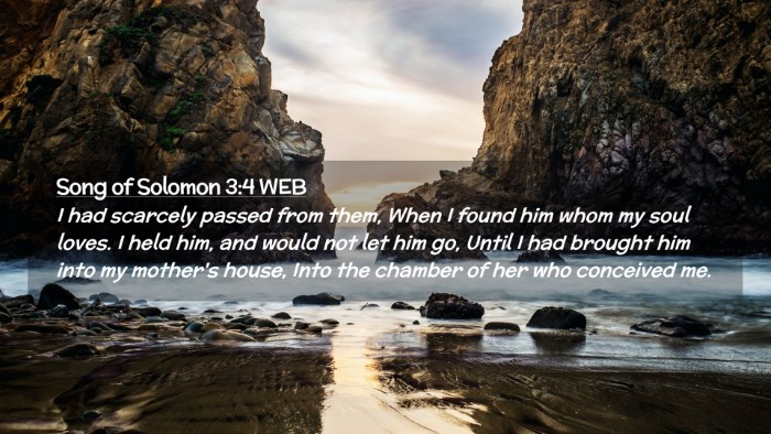 Picture 02 - Song of Solomon 3:4 WEB Desktop Wallpaper - I had scarcely passed from them, When I found him - Desktop Bible Verse Wallpaper