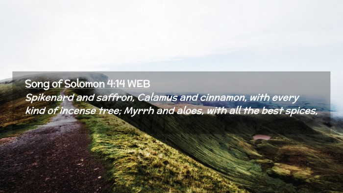 Picture 02 - Song of Solomon 4:14 WEB Desktop Wallpaper - Spikenard and saffron, Calamus and cinnamon, with - Desktop Bible Verse Wallpaper