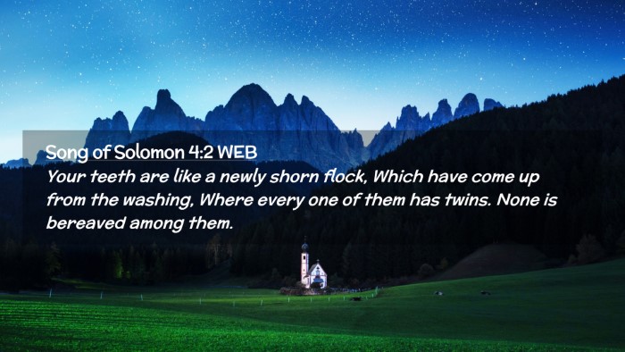 Picture 02 - Song of Solomon 4:2 WEB Desktop Wallpaper - Your teeth are like a newly shorn flock, Which - Desktop Bible Verse Wallpaper