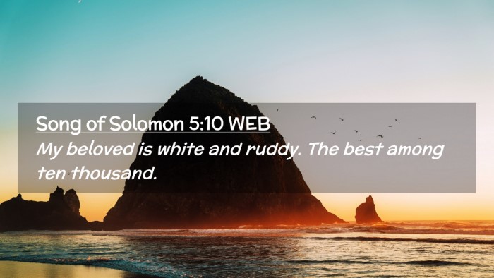 Picture 02 - Song of Solomon 5:10 WEB Desktop Wallpaper - My beloved is white and ruddy. The best among ten - Desktop Bible Verse Wallpaper