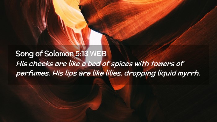 Picture 02 - Song of Solomon 5:13 WEB Desktop Wallpaper - His cheeks are like a bed of spices with towers - Desktop Bible Verse Wallpaper