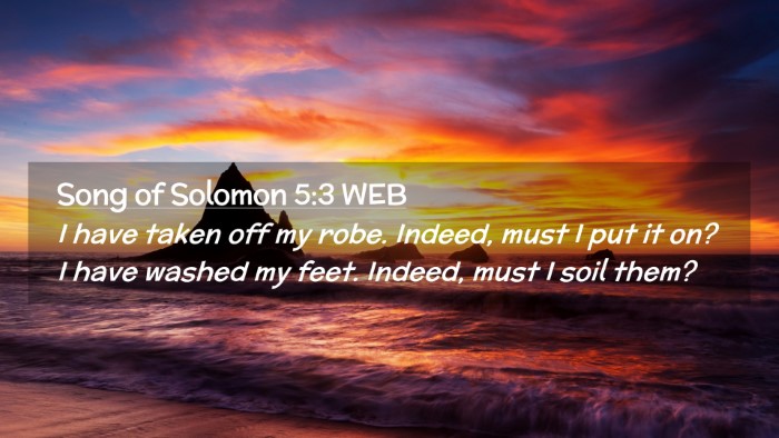 Picture 02 - Song of Solomon 5:3 WEB Desktop Wallpaper - I have taken off my robe. Indeed, must I put it - Desktop Bible Verse Wallpaper