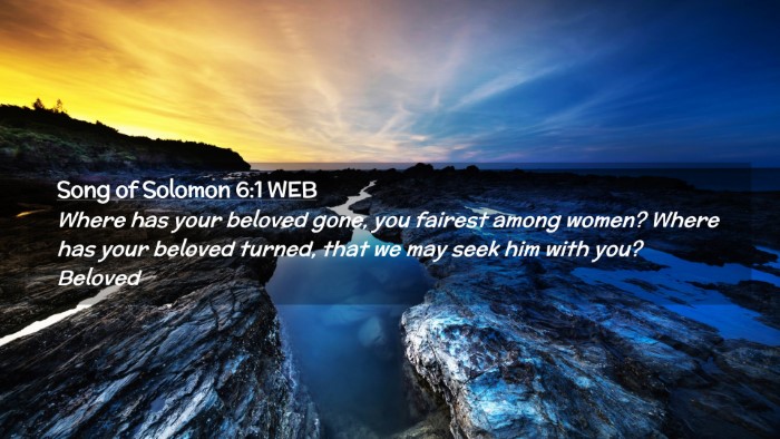 Picture 02 - Song of Solomon 6:1 WEB Desktop Wallpaper - Where has your beloved gone, you fairest among - Desktop Bible Verse Wallpaper