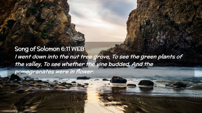 Picture 02 - Song of Solomon 6:11 WEB Desktop Wallpaper - I went down into the nut tree grove, To see the - Desktop Bible Verse Wallpaper