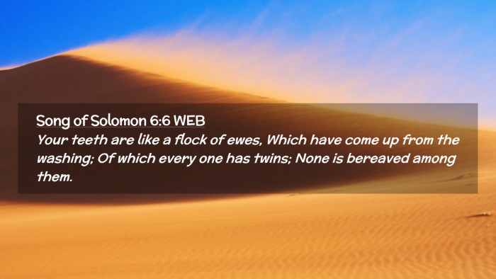 Picture 02 - Song of Solomon 6:6 WEB Desktop Wallpaper - Your teeth are like a flock of ewes, Which have - Desktop Bible Verse Wallpaper