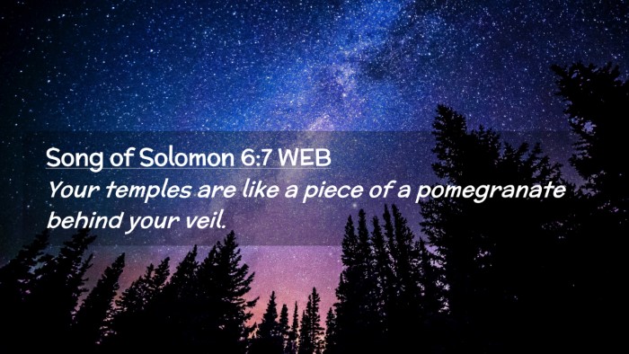 Picture 02 - Song of Solomon 6:7 WEB Desktop Wallpaper - Your temples are like a piece of a pomegranate - Desktop Bible Verse Wallpaper