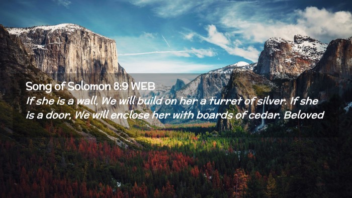 Picture 02 - Song of Solomon 8:9 WEB Desktop Wallpaper - If she is a wall, We will build on her a turret - Desktop Bible Verse Wallpaper