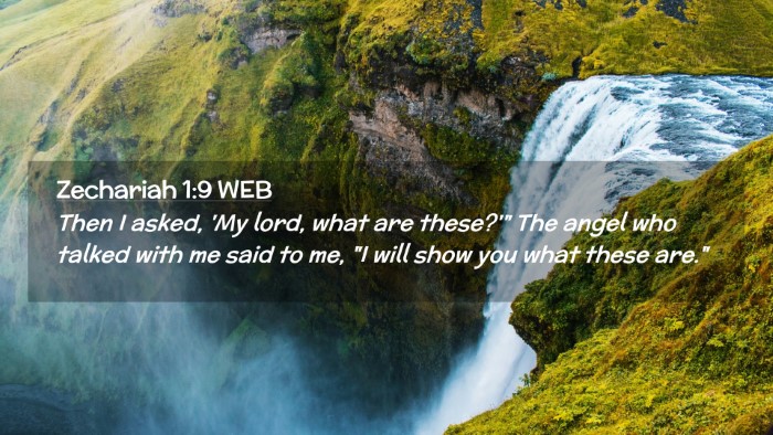 Picture 02 - Zechariah 1:9 WEB Desktop Wallpaper - Then I asked, 'My lord, what are these?'