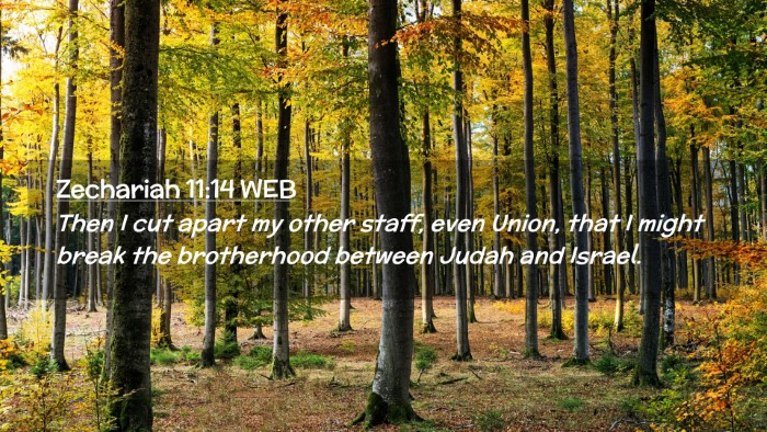 Picture 02 - Zechariah 11:14 WEB Desktop Wallpaper - Then I cut apart my other staff, even Union, that - Desktop Bible Verse Wallpaper