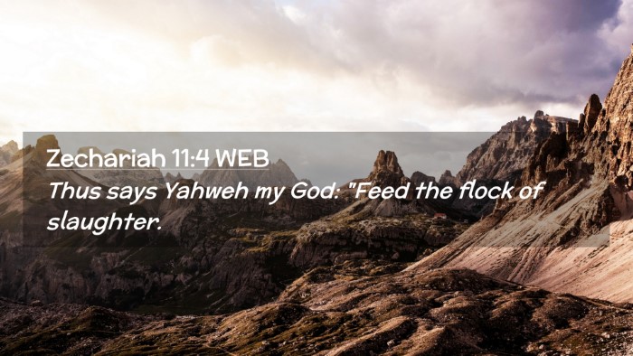 Picture 02 - Zechariah 11:4 WEB Desktop Wallpaper - Thus says Yahweh my God: 