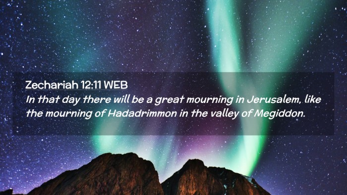 Picture 02 - Zechariah 12:11 WEB Desktop Wallpaper - In that day there will be a great mourning in - Desktop Bible Verse Wallpaper
