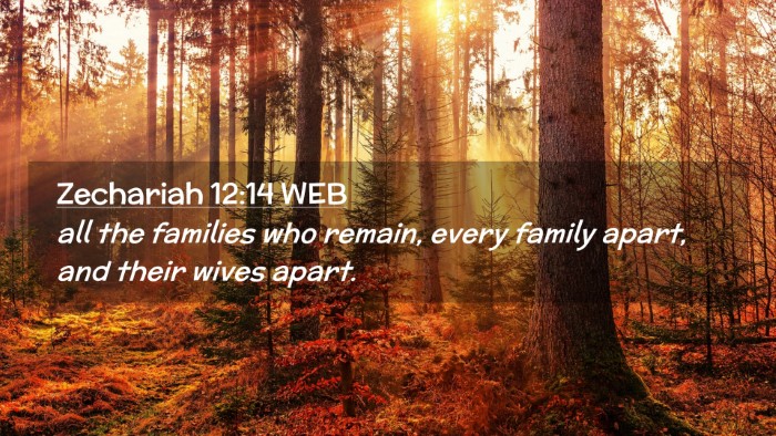 Picture 02 - Zechariah 12:14 WEB Desktop Wallpaper - all the families who remain, every family apart, - Desktop Bible Verse Wallpaper