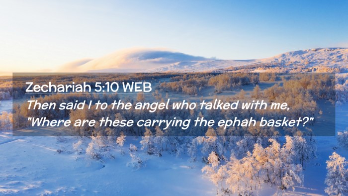 Picture 02 - Zechariah 5:10 WEB Desktop Wallpaper - Then said I to the angel who talked with me, - Desktop Bible Verse Wallpaper