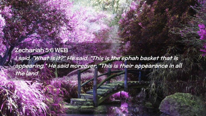 Picture 02 - Zechariah 5:6 WEB Desktop Wallpaper - I said, 