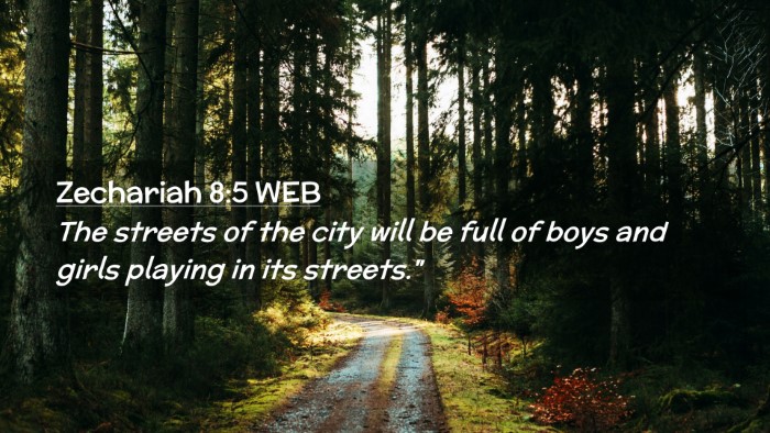 Picture 02 - Zechariah 8:5 WEB Desktop Wallpaper - The streets of the city will be full of boys and - Desktop Bible Verse Wallpaper