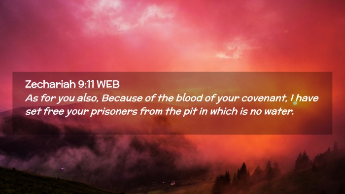 Picture 02 - Zechariah 9:11 WEB Desktop Wallpaper - As for you also, Because of the blood of your - Desktop Bible Verse Wallpaper