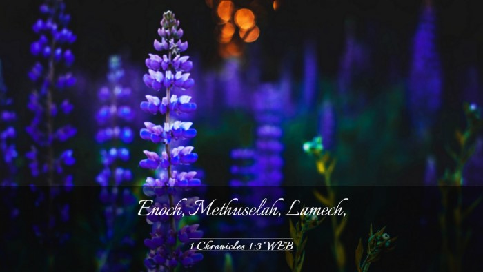 Picture 03 - 1 Chronicles 1:3 WEB Desktop Wallpaper - Enoch, Methuselah, - Desktop Bible Verse Wallpaper