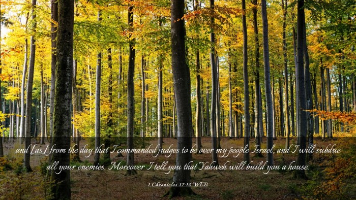 Picture 03 - 1 Chronicles 17:10 WEB Desktop Wallpaper - and [as] from the day that I commanded judges to - Desktop Bible Verse Wallpaper