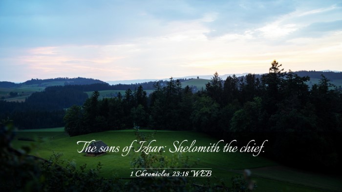 Picture 03 - 1 Chronicles 23:18 WEB Desktop Wallpaper - The sons of Izhar: Shelomith the - Desktop Bible Verse Wallpaper