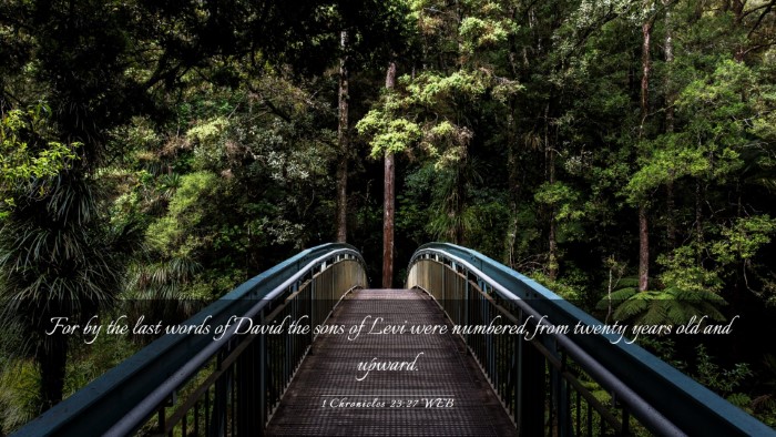 Picture 03 - 1 Chronicles 23:27 WEB Desktop Wallpaper - For by the last words of David the sons of Levi - Desktop Bible Verse Wallpaper