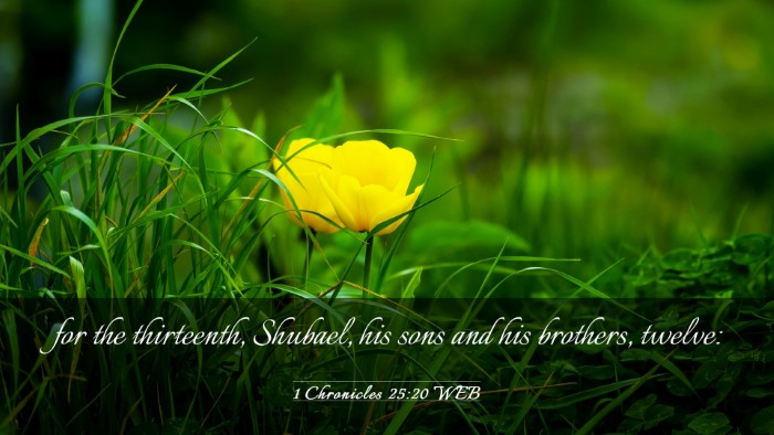 Picture 03 - 1 Chronicles 25:20 WEB Desktop Wallpaper - for the thirteenth, Shubael, his sons and his - Desktop Bible Verse Wallpaper