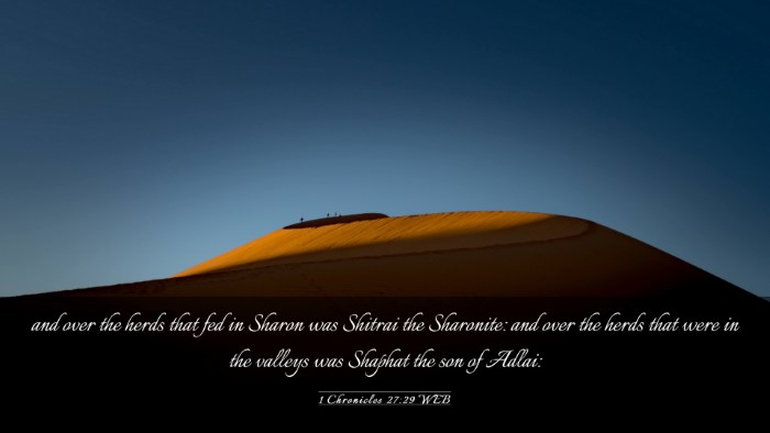 Picture 03 - 1 Chronicles 27:29 WEB Desktop Wallpaper - and over the herds that fed in Sharon was Shitrai - Desktop Bible Verse Wallpaper