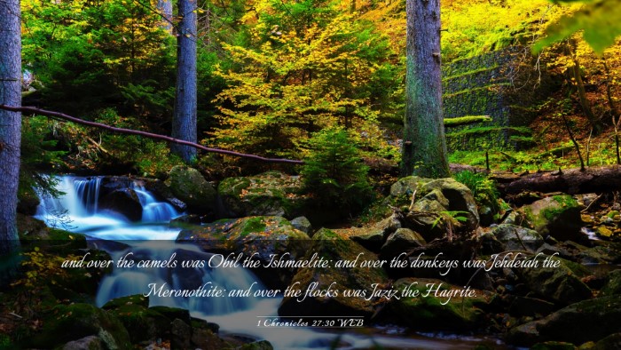 Picture 03 - 1 Chronicles 27:30 WEB Desktop Wallpaper - and over the camels was Obil the Ishmaelite: and - Desktop Bible Verse Wallpaper