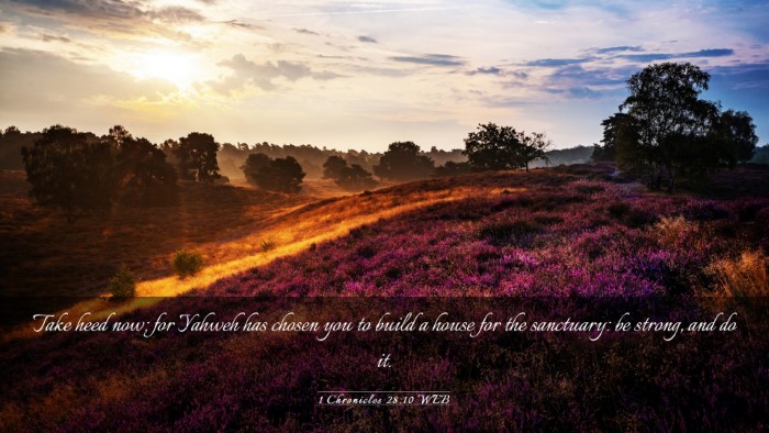 Picture 03 - 1 Chronicles 28:10 WEB Desktop Wallpaper - Take heed now; for Yahweh has chosen you to build - Desktop Bible Verse Wallpaper