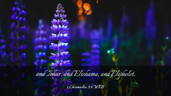 Picture 03 - 1 Chronicles 3:6 WEB Desktop Wallpaper - and Ibhar, and Elishama, and - Desktop Bible Verse Wallpaper