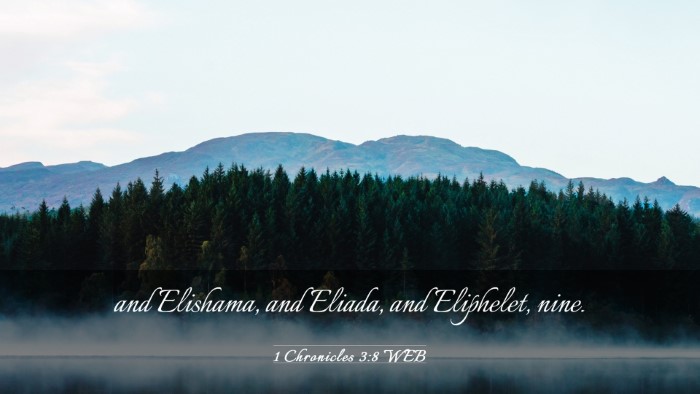 Picture 03 - 1 Chronicles 3:8 WEB Desktop Wallpaper - and Elishama, and Eliada, and Eliphelet, - Desktop Bible Verse Wallpaper