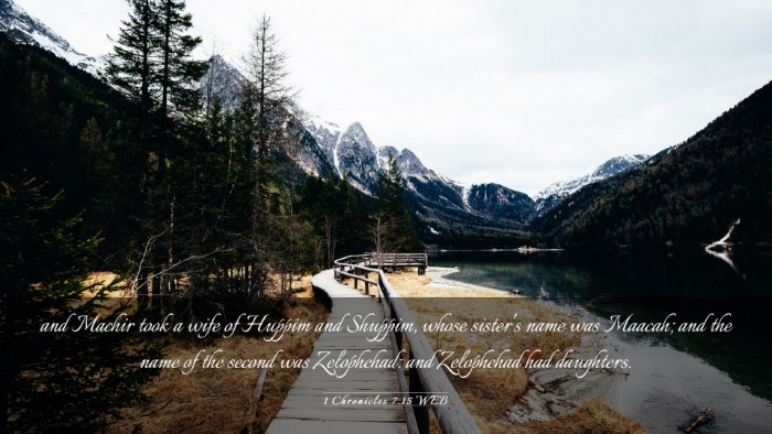 Picture 03 - 1 Chronicles 7:15 WEB Desktop Wallpaper - and Machir took a wife of Huppim and Shuppim, - Desktop Bible Verse Wallpaper