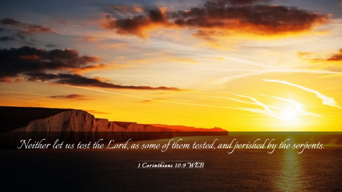 Picture 03 - 1 Corinthians 10:9 WEB Desktop Wallpaper - Neither let us test the Lord, as some of them - Desktop Bible Verse Wallpaper