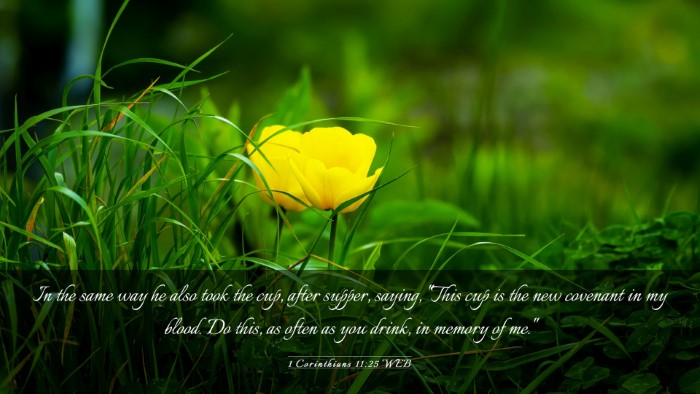 Picture 03 - 1 Corinthians 11:25 WEB Desktop Wallpaper - In the same way he also took the cup, after - Desktop Bible Verse Wallpaper
