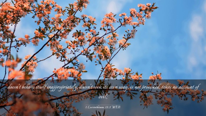 Picture 03 - 1 Corinthians 13:5 WEB Desktop Wallpaper - doesn't behave itself inappropriately, doesn't - Desktop Bible Verse Wallpaper