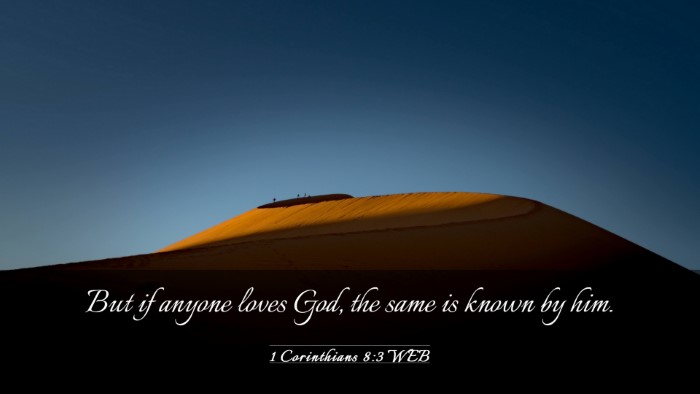 Picture 03 - 1 Corinthians 8:3 WEB Desktop Wallpaper - But if anyone loves God, the same is known by - Desktop Bible Verse Wallpaper